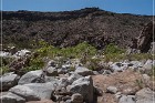 Badger Springs Trail