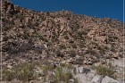 Badger Springs Trail