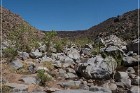 Badger Springs Trail