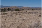 Fort Site