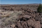 Fort Site