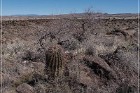 Fort Site