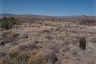 Fort Site