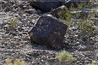 Antelope Hill Petroglyphs