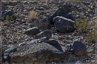 Antelope Hill Petroglyphs