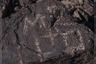 Antelope Hill Petroglyphs