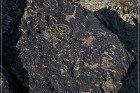 Antelope Hill Petroglyphs