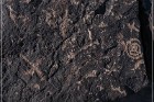 Antelope Hill Petroglyphs