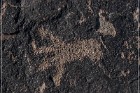 Antelope Hill Petroglyphs