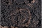 Antelope Hill Petroglyphs