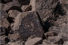 Antelope Hill Petroglyphs