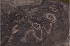 Antelope Hill Petroglyphs