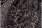 Antelope Hill Petroglyphs