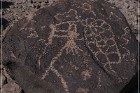 Antelope Hill Petroglyphs