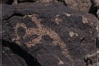 Antelope Hill Petroglyphs