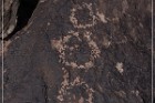 Antelope Hill Petroglyphs