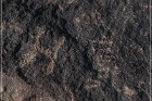 Antelope Hill Petroglyphs