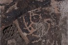 Antelope Hill Petroglyphs