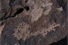 Antelope Hill Petroglyphs