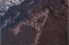 Antelope Hill Petroglyphs