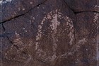 Antelope Hill Petroglyphs