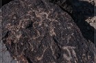 Antelope Hill Petroglyphs