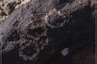 Antelope Hill Petroglyphs