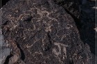 Antelope Hill Petroglyphs