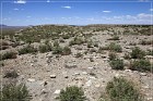 Awatovi Ruins