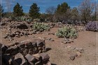 Besh-Ba-Gowah Archaeological Park