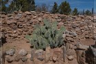 Besh-Ba-Gowah Archaeological Park