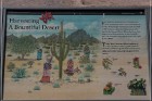 Casa Grande Ruins NM