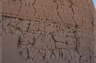 Casa Grande Ruins NM