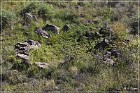 Casa Malpais Archaeological Park