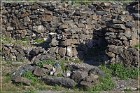 Casa Malpais Archaeological Park