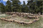 elden pueblo 2015 22