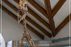 Flagstaff Museum