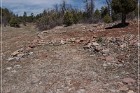 Grasshopper Ruin
