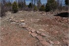 Grasshopper Ruin