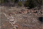 Grasshopper Ruin