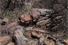 Grasshopper Ruin