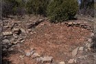 Grasshopper Ruin