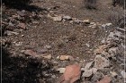 Grasshopper Ruin