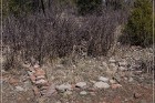 Grasshopper Ruin