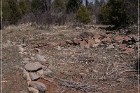 Grasshopper Ruin