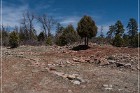 Grasshopper Ruin