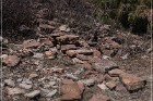 Grasshopper Ruin