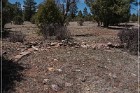 Grasshopper Ruin