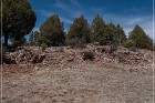 Grasshopper Ruin