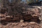 Grasshopper Ruin